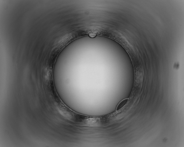 X0000100320126200806121113