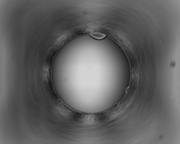 X0000100320127200806121113