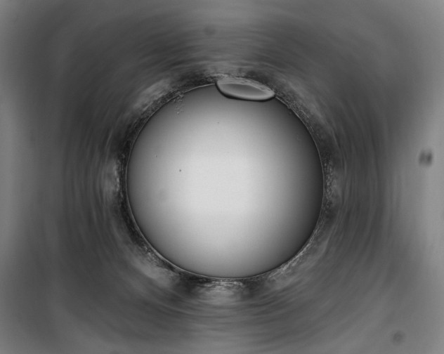 X0000100320128200806121113