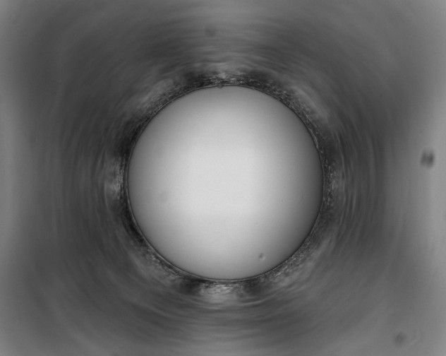 X0000100320129200806121113