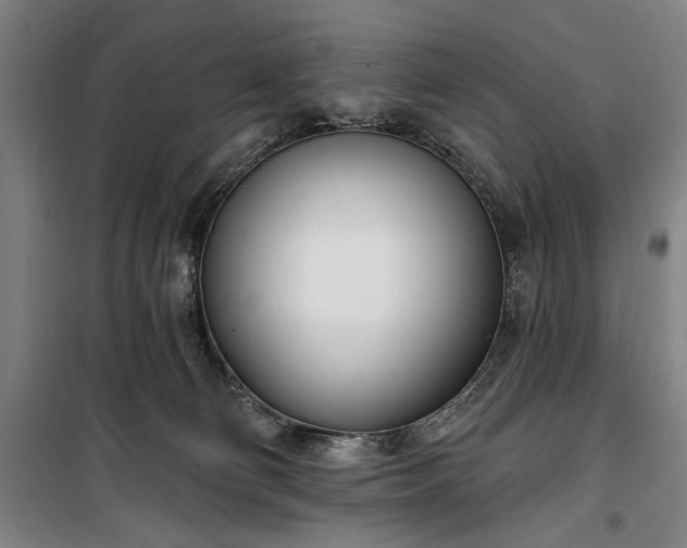 X0000100320130200806121112