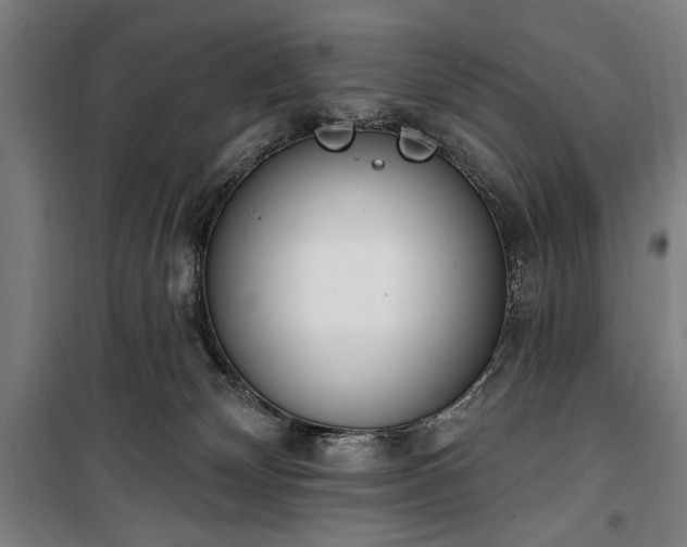 X0000100320132200806121112