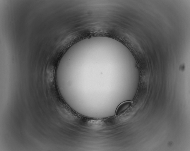 X0000100320133200806121112