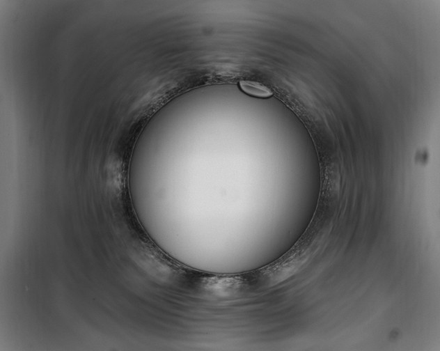 X0000100320135200806121112