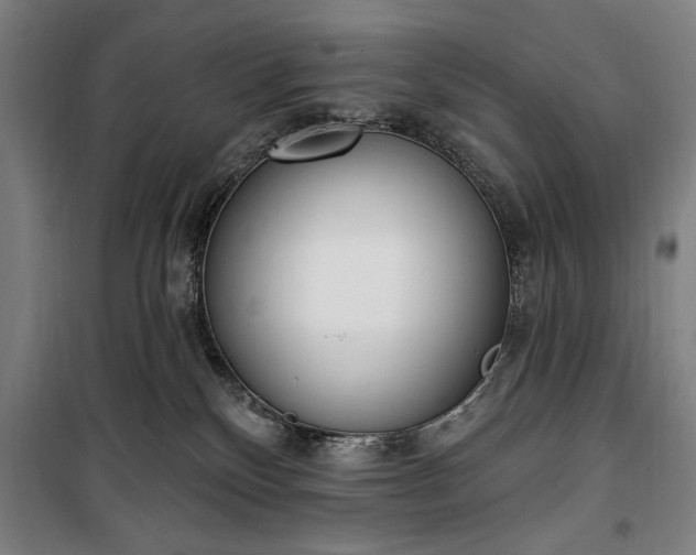 X0000100320136200806121112