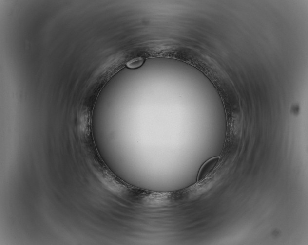 X0000100320138200806121112