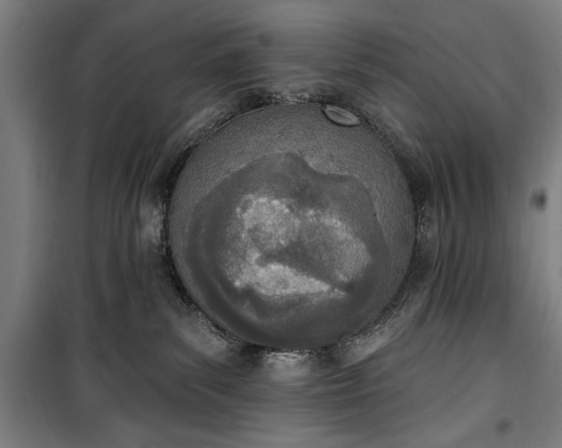 X0000100320139200806121112