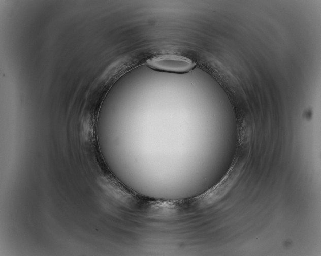 X0000100320140200806121112