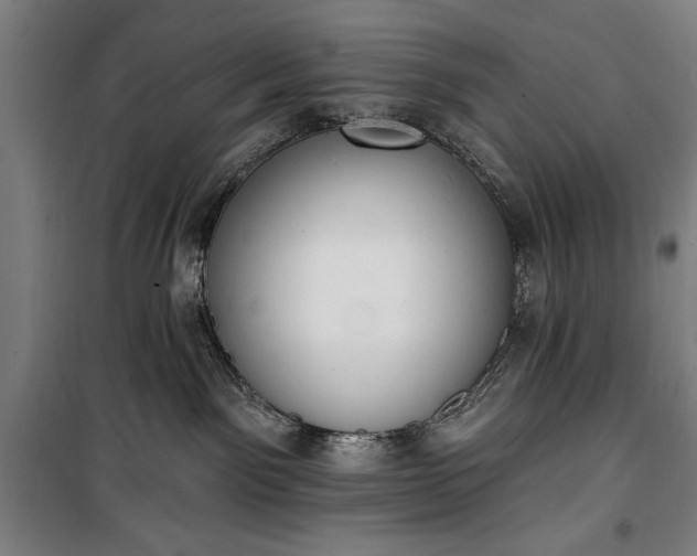 X0000100320141200806121112