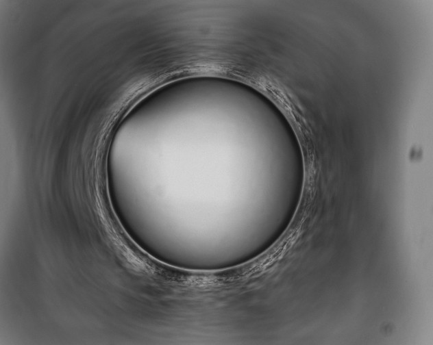 X0000100320145200806121112