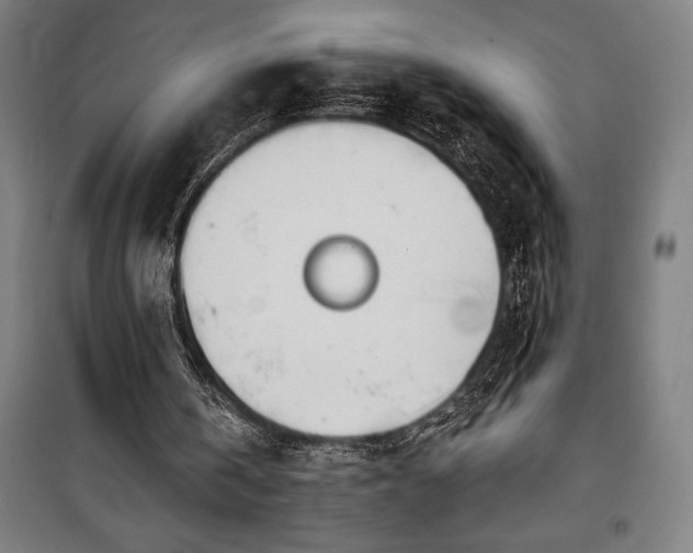 X0000100320146200806121112