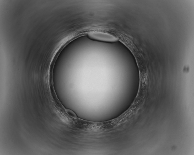 X0000100320148200806121112