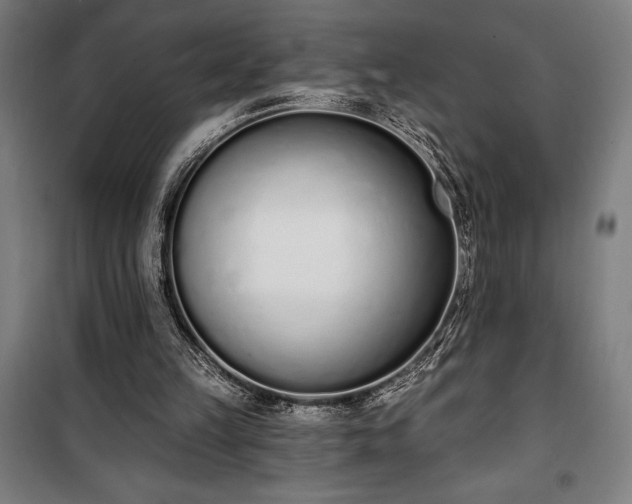 X0000100320149200806121112