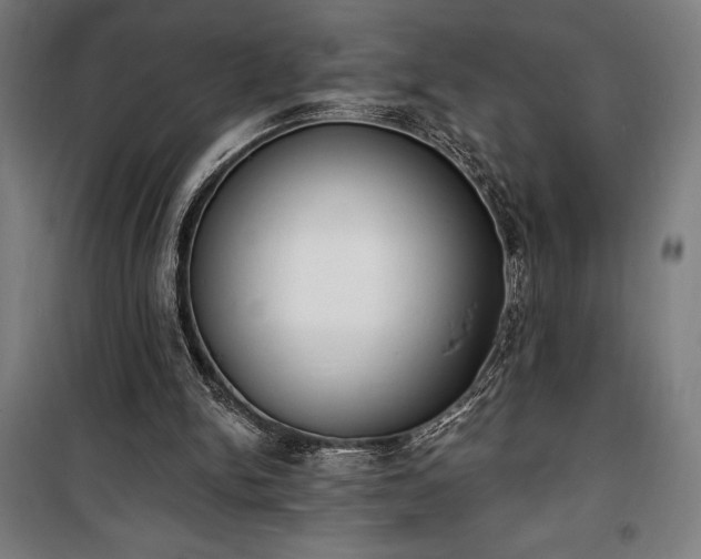 X0000100320150200806121112