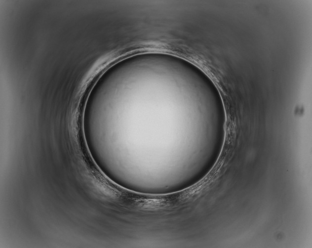 X0000100320151200806121112