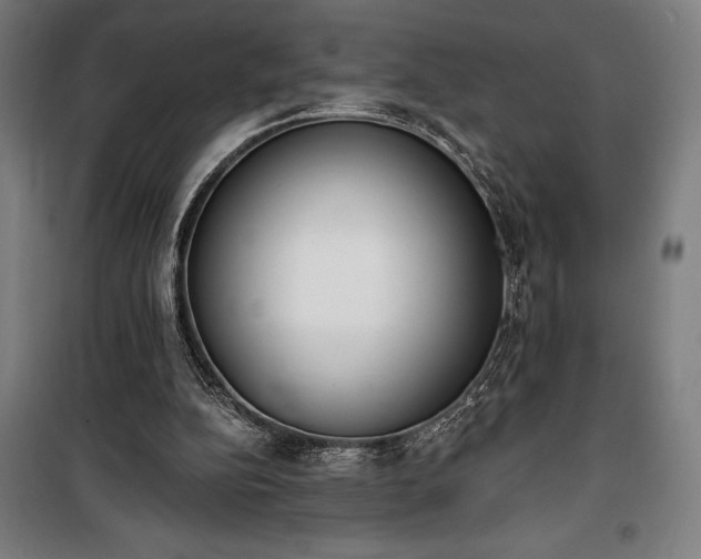 X0000100320152200806121112