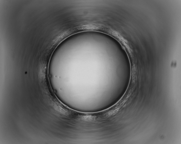 X0000100320153200806121112