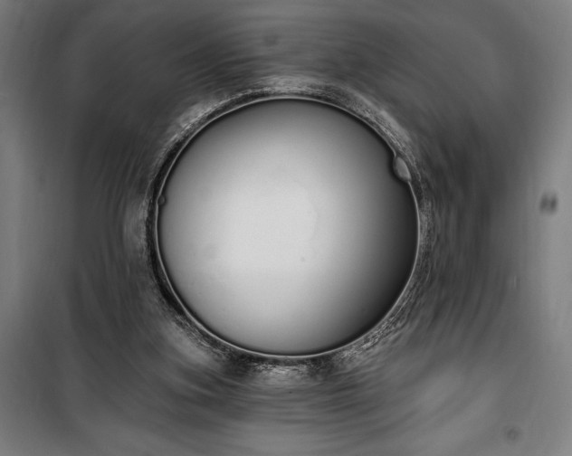 X0000100320155200806121112