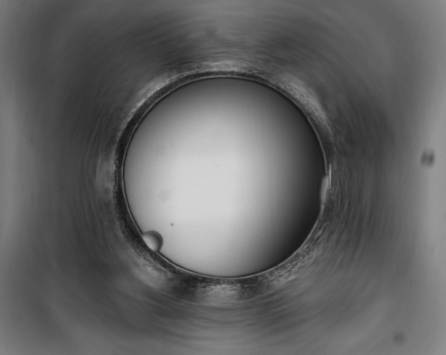 X0000100320156200806121112