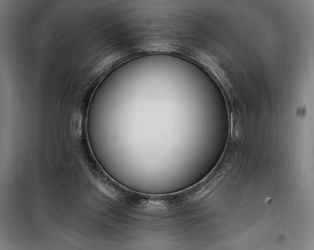 X0000100320157200806121112