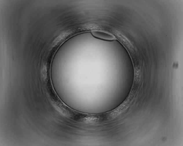 X0000100320158200806121112