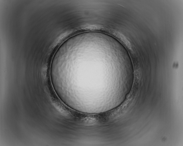 X0000100320159200806121112