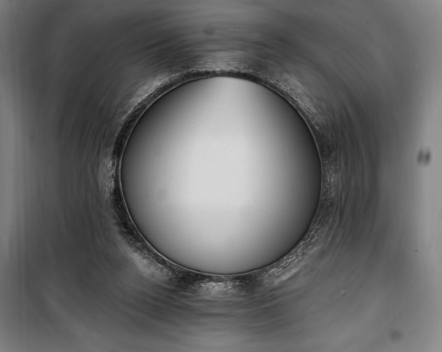 X0000100320160200806121112