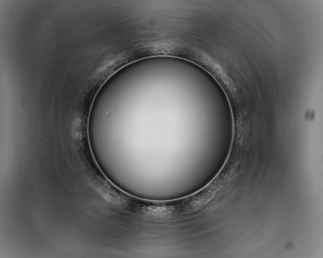 X0000100320161200806121112