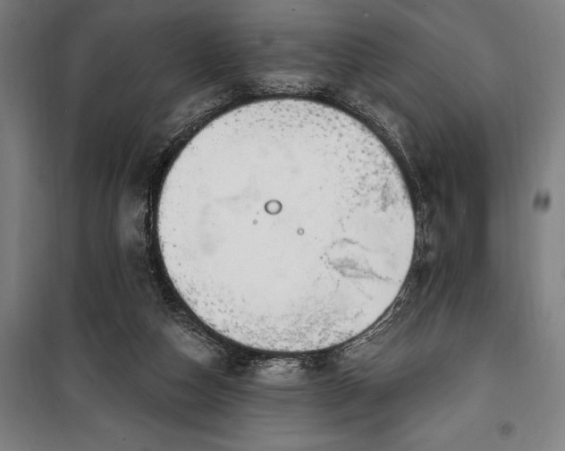 X0000100320162200806121112