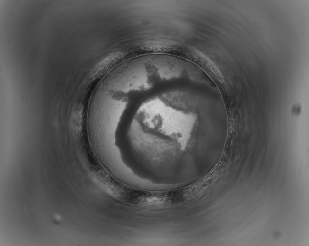 X0000100320163200806121112