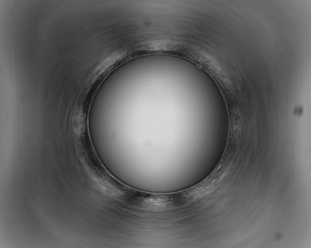 X0000100320164200806121112