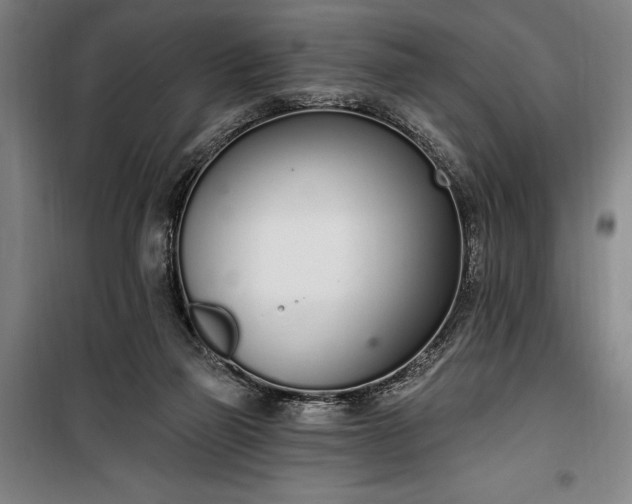 X0000100320165200806121112