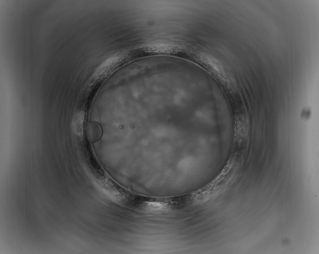 X0000100320167200806121112