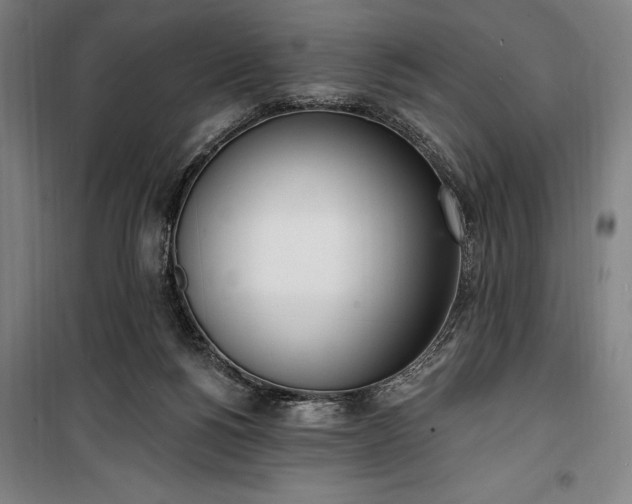 X0000100320168200806121112