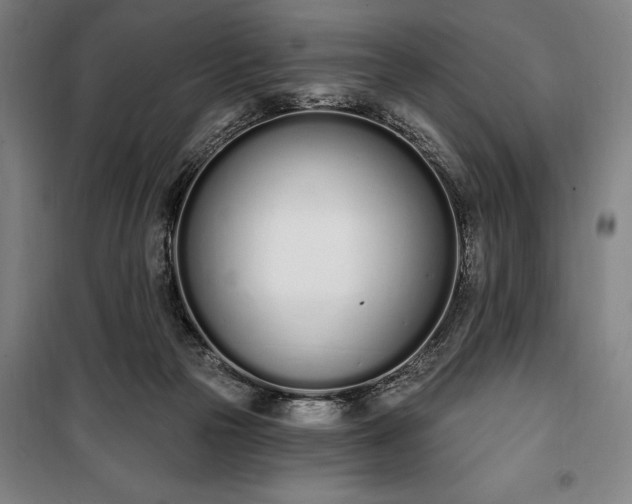 X0000100320169200806121112