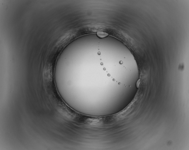 X0000100320170200806121112