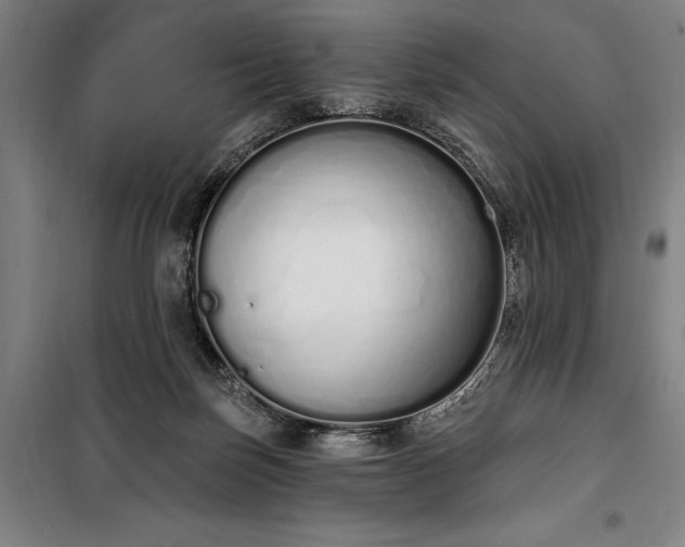 X0000100320171200806121112