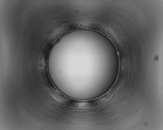 X0000100320173200806121112