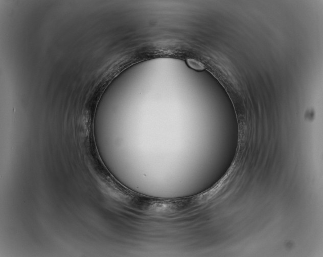 X0000100320174200806121112