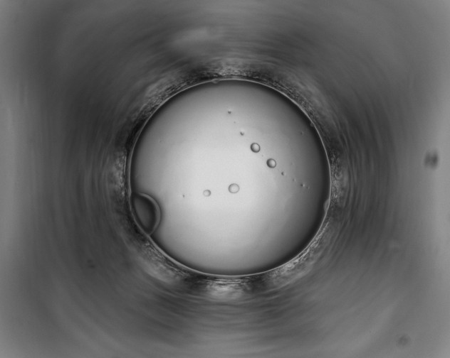 X0000100320175200806121112