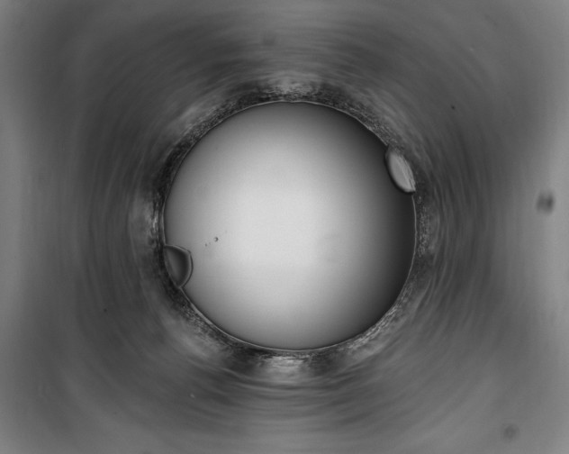 X0000100320176200806121112