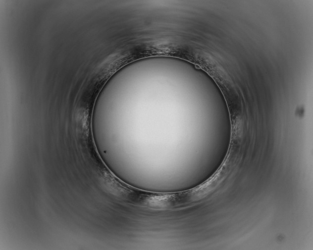 X0000100320178200806121112