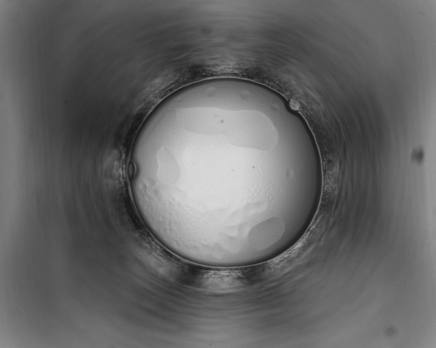 X0000100320179200806121112