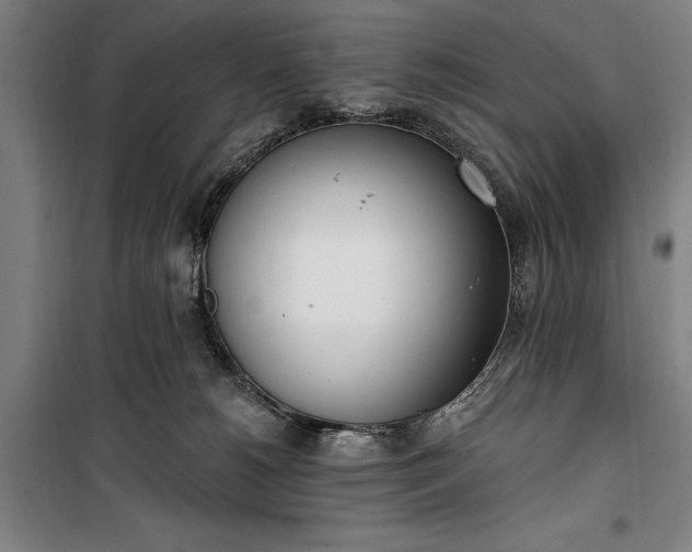 X0000100320180200806121112