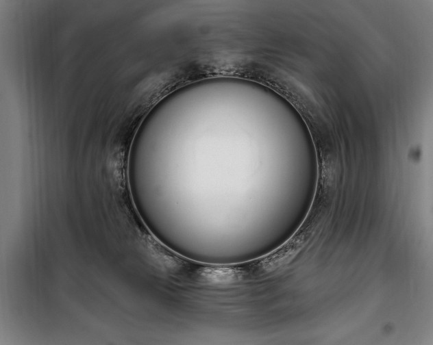 X0000100320181200806121112