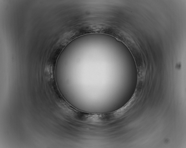 X0000100320182200806121112