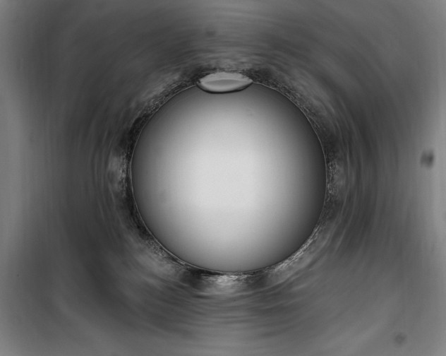 X0000100320184200806121112