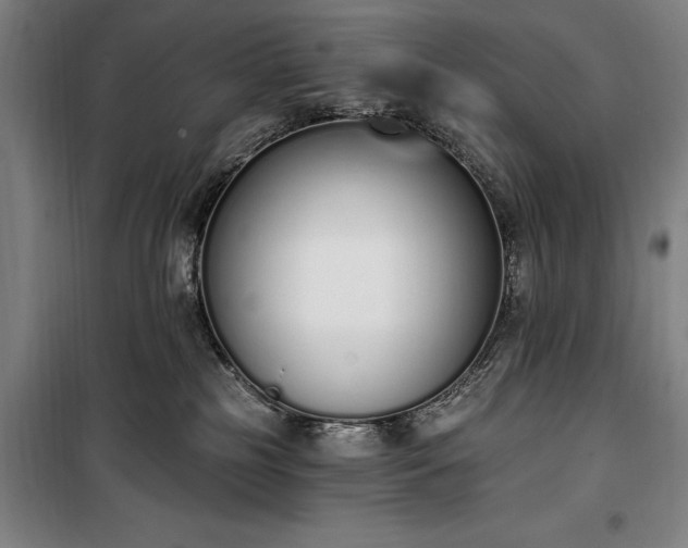 X0000100320185200806121112