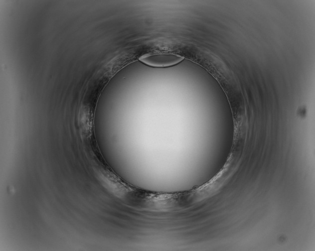 X0000100320186200806121112