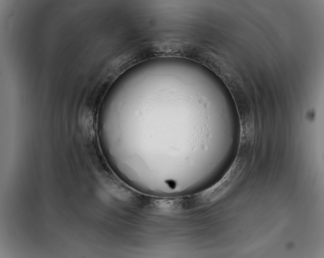 X0000100320187200806121112